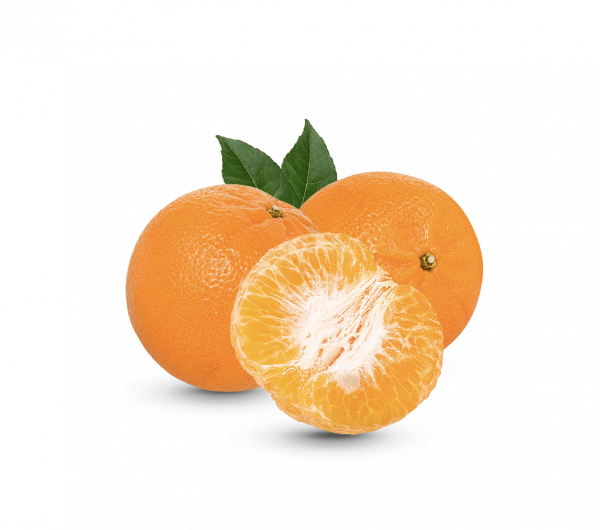 h3-product2 h3-product2