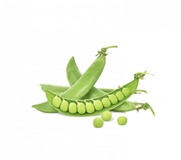 h3-product7 h3-product7