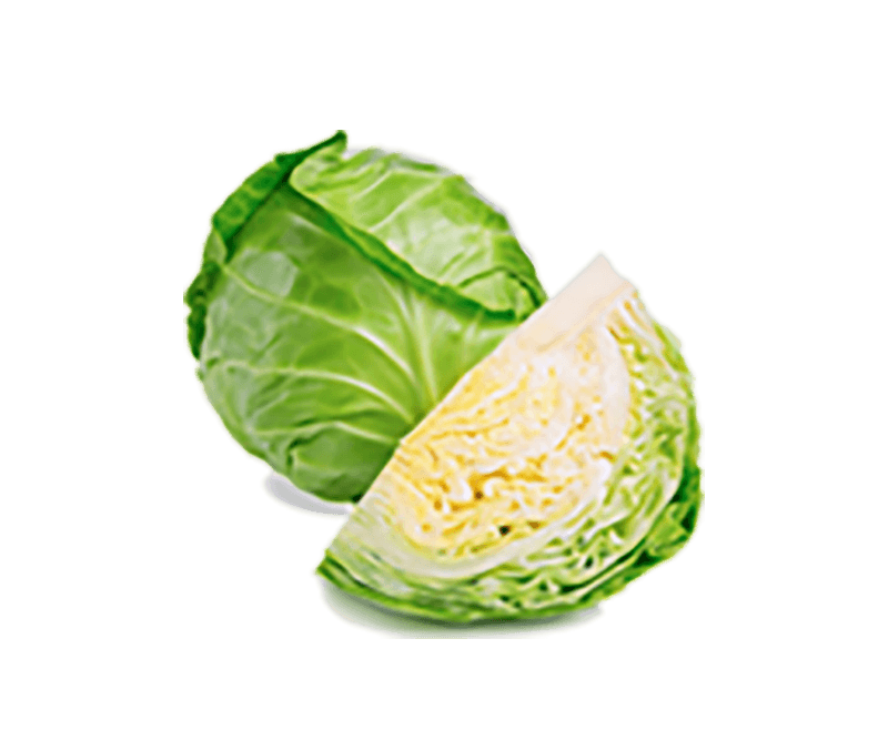 Organic Cabbage